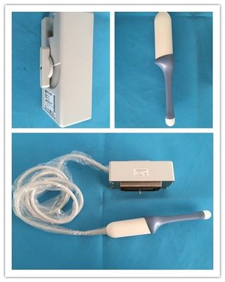 Proba compatible con ultrasonido de clase II 4D transvaginal GE RIC5-9H