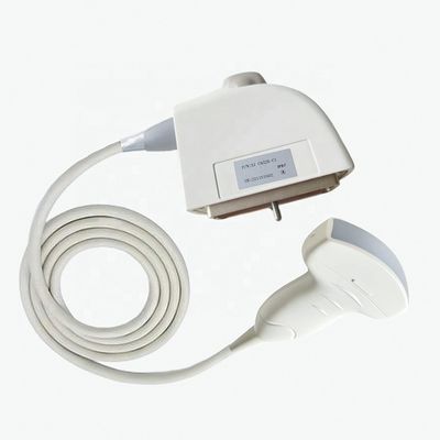 Exminación médica eléctrica Siemens CH5-2 Ultrasonido Transductor de sonda convexa humana