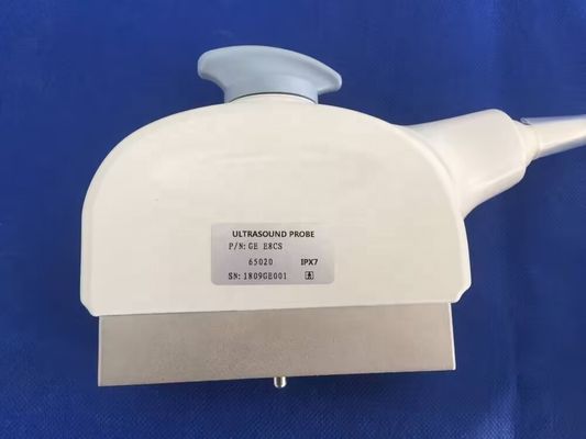 GE E8Cs Logiq P5/ P6/ P6 Pro Sonda de ultrasonido transvaginal con conectividad inalámbrica